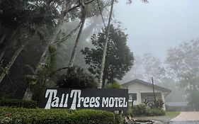 Tall Trees Motel Mountain Retreat