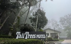 Tall Trees Motel Mountain Retreat